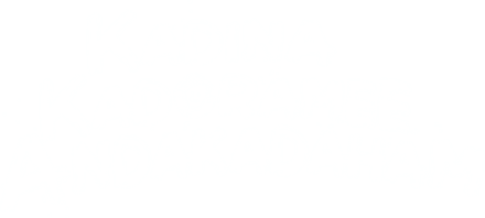 Anime Artwork