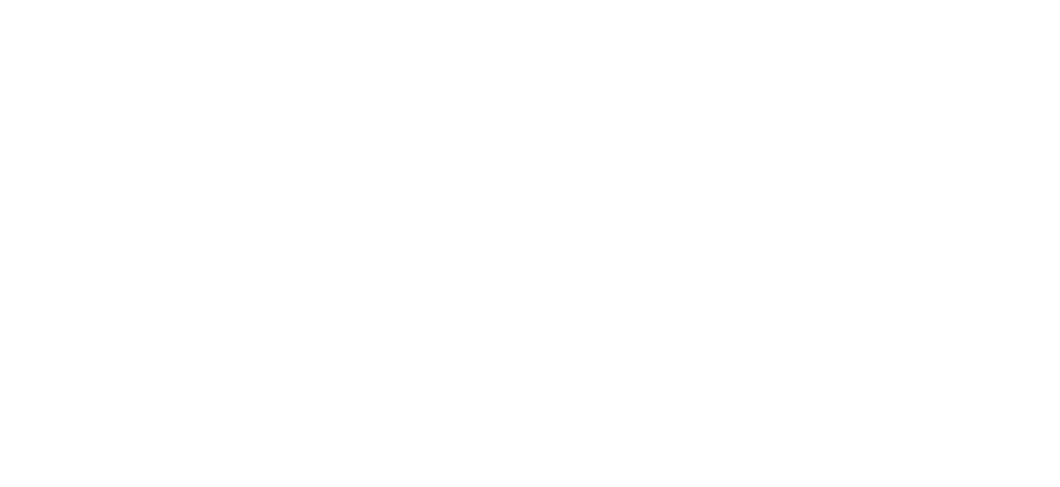 Anime Artwork