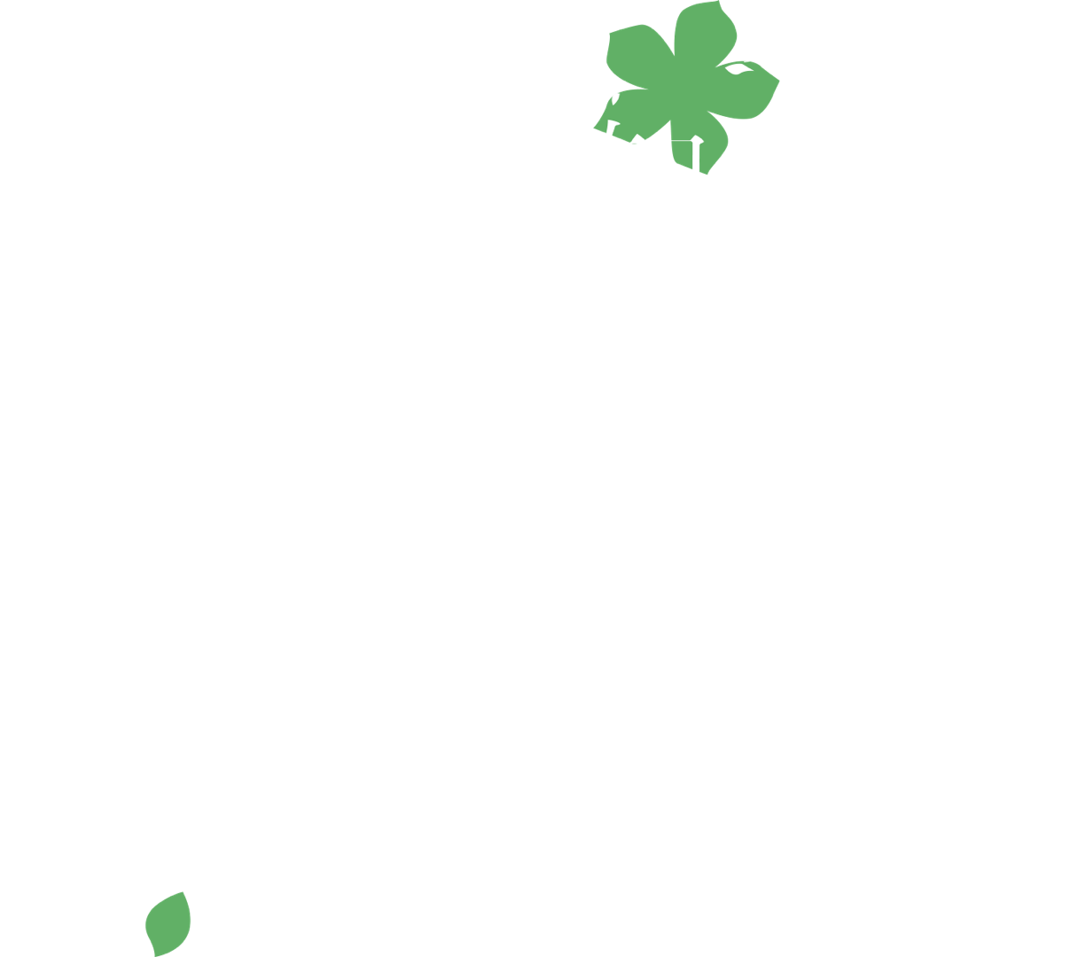 Anime Artwork