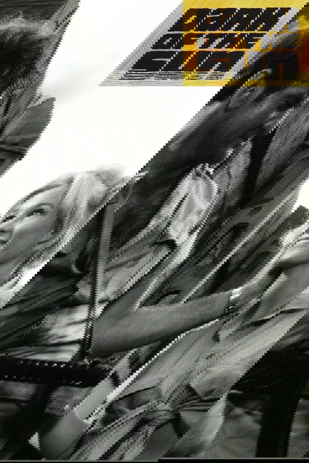 Anime Artwork