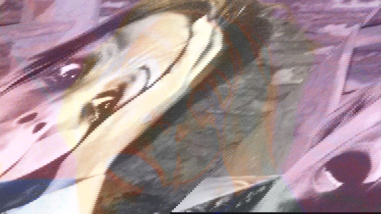 Anime Artwork