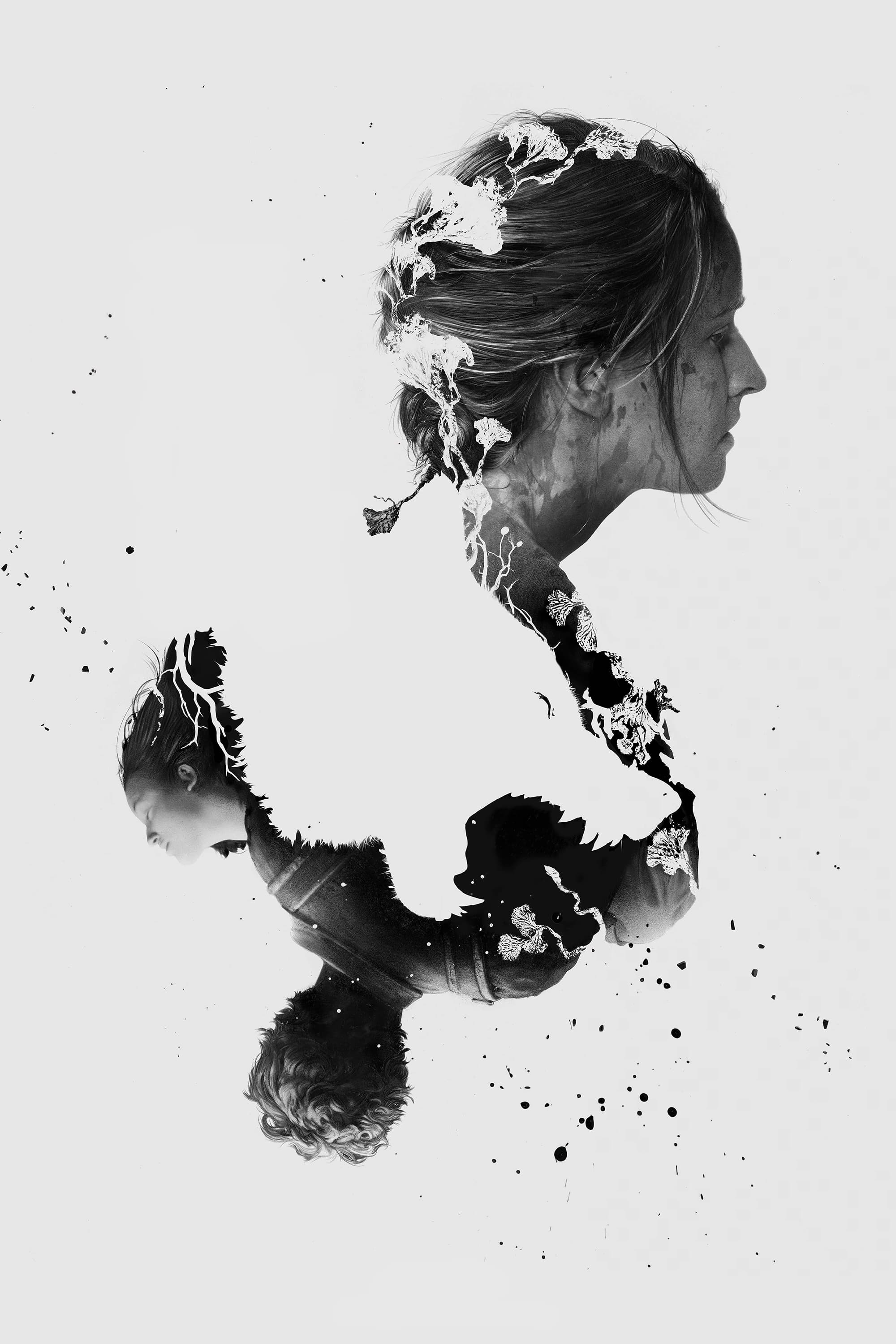 Anime Artwork