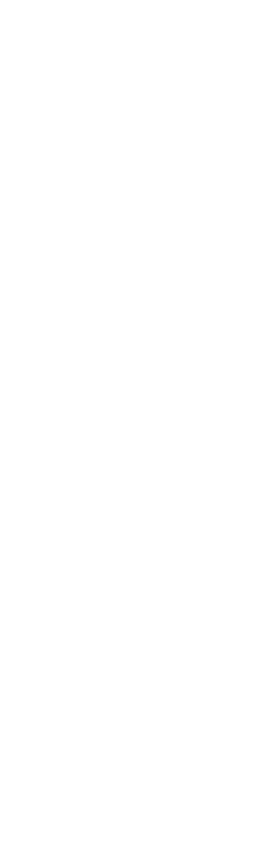 Anime Artwork