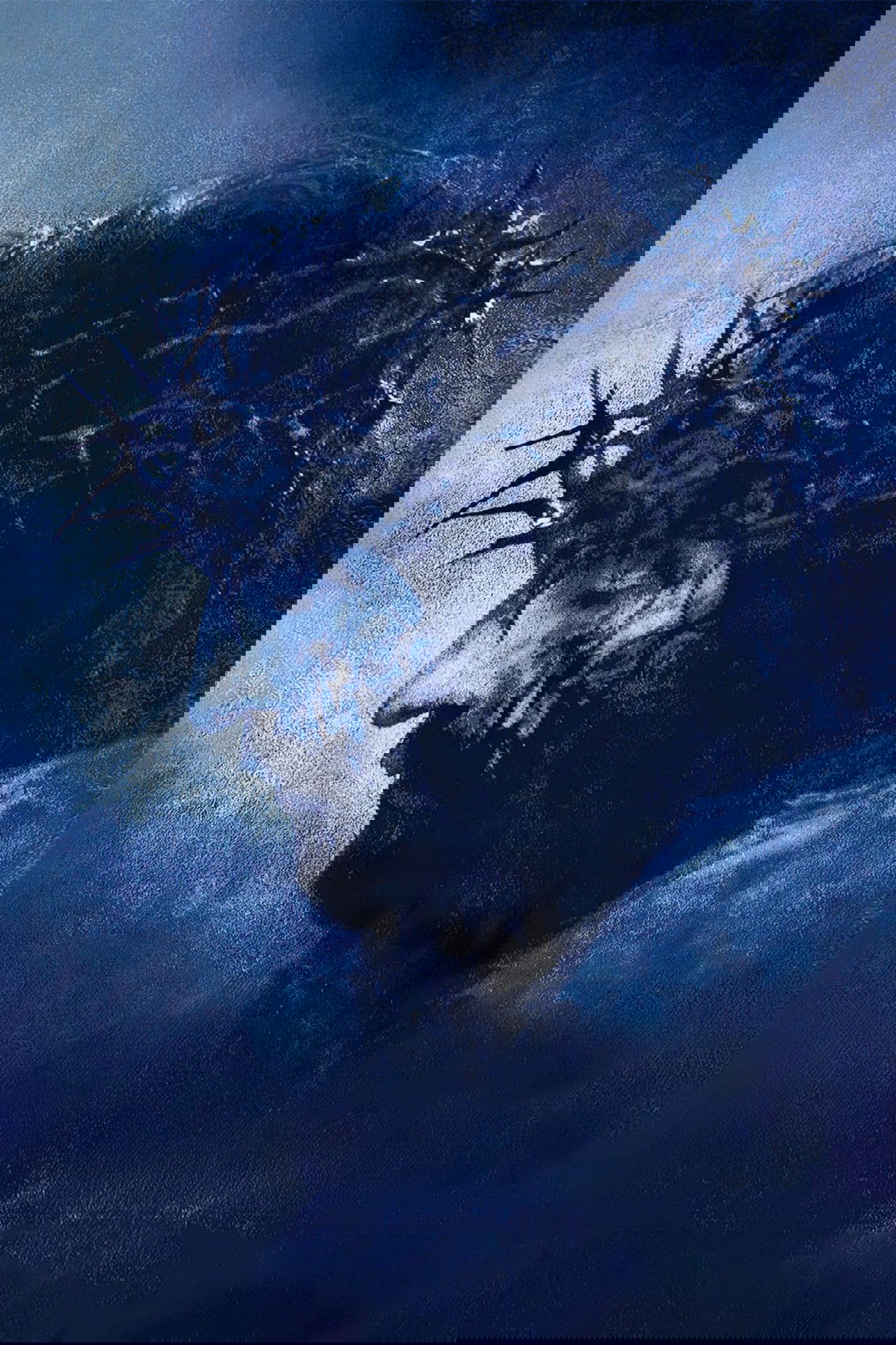 Anime Artwork