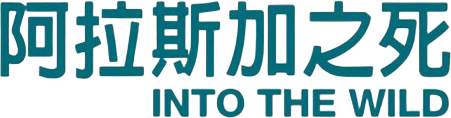 Anime Artwork