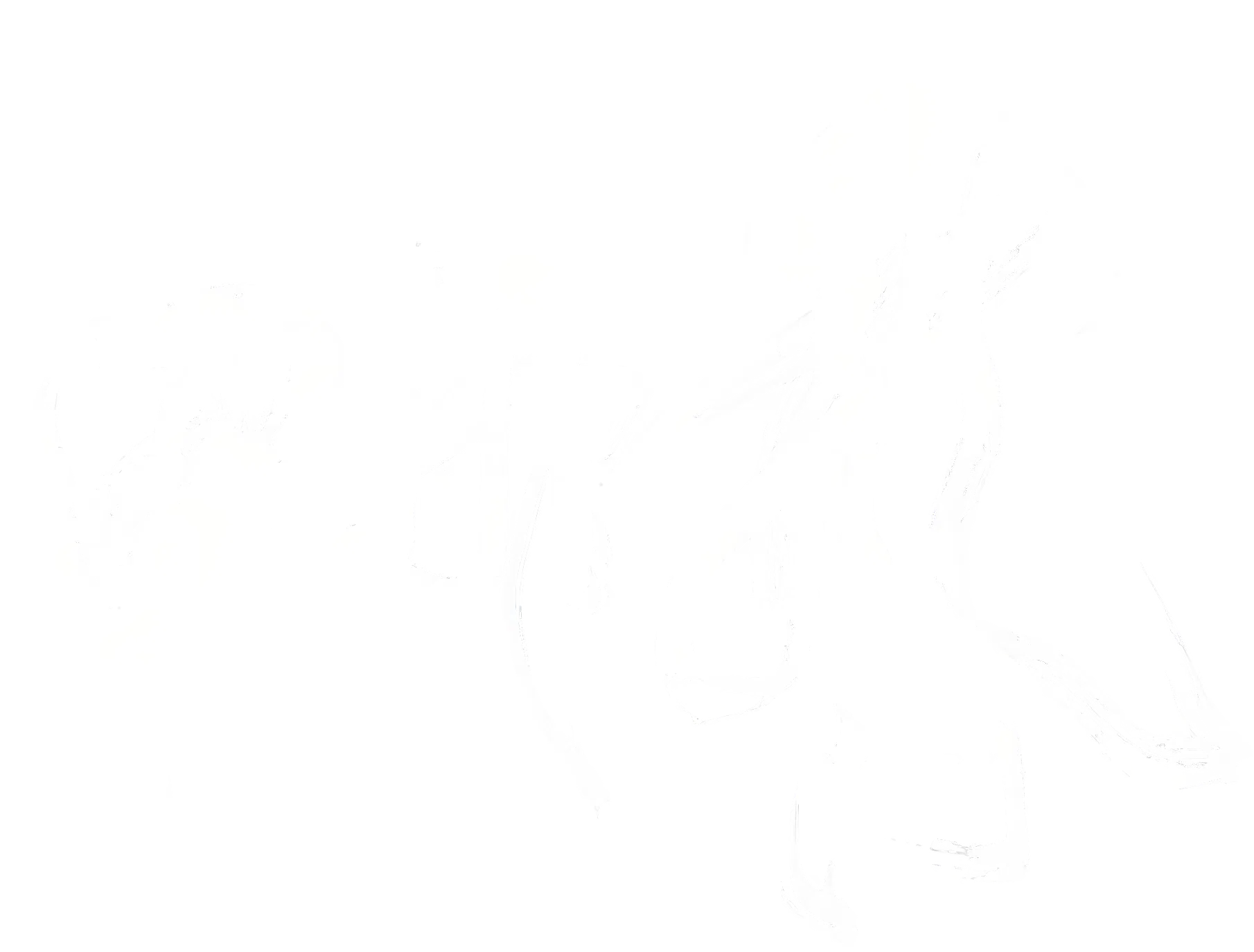 Anime Artwork