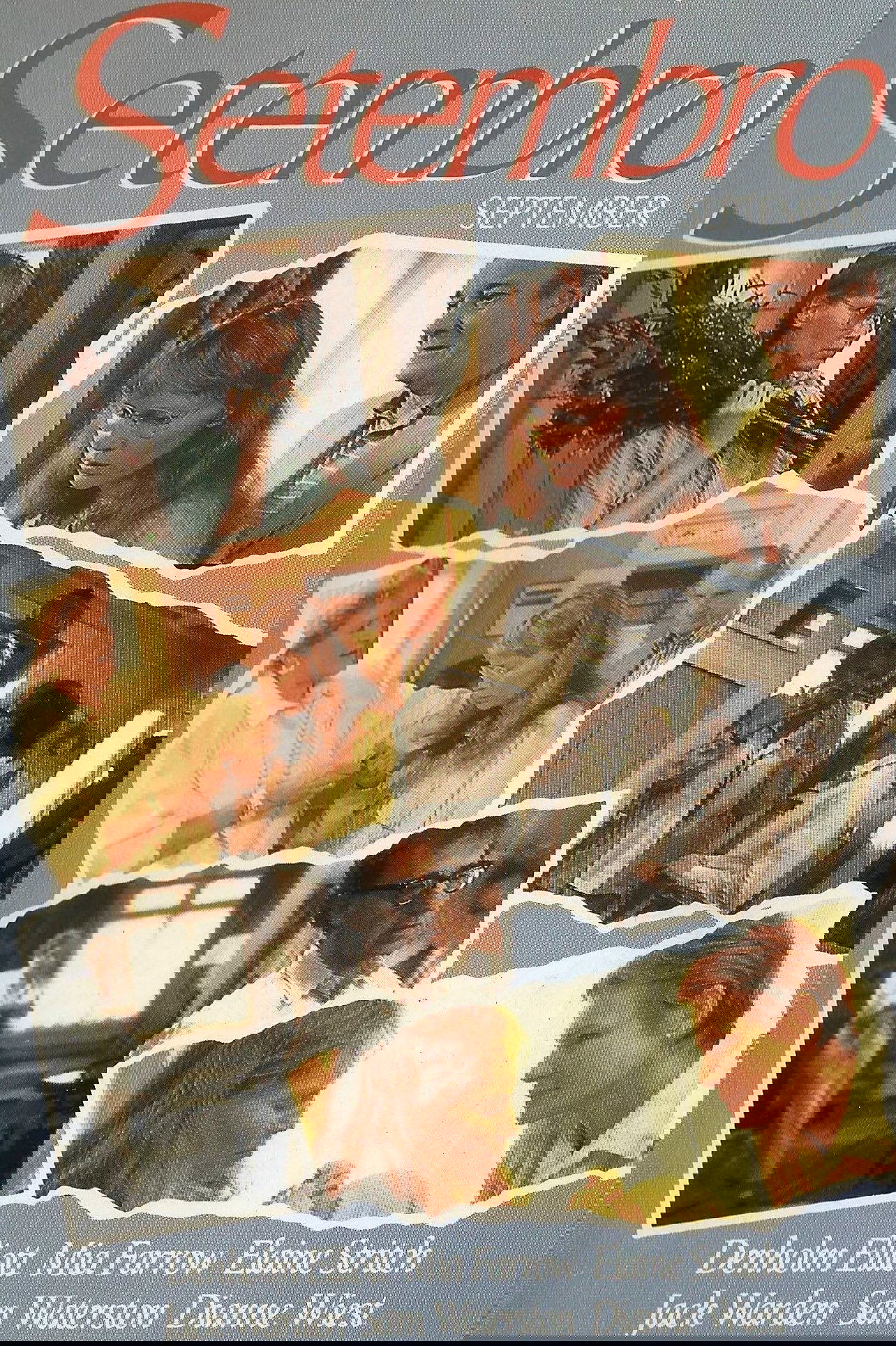 Anime Artwork