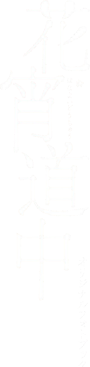 Anime Artwork