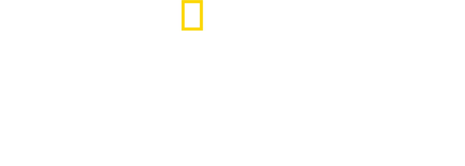 Anime Artwork