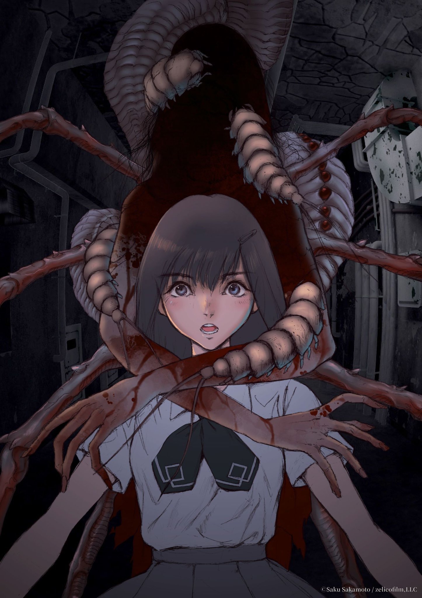 Anime Artwork
