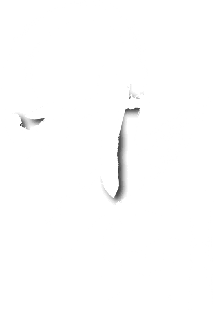Anime Artwork