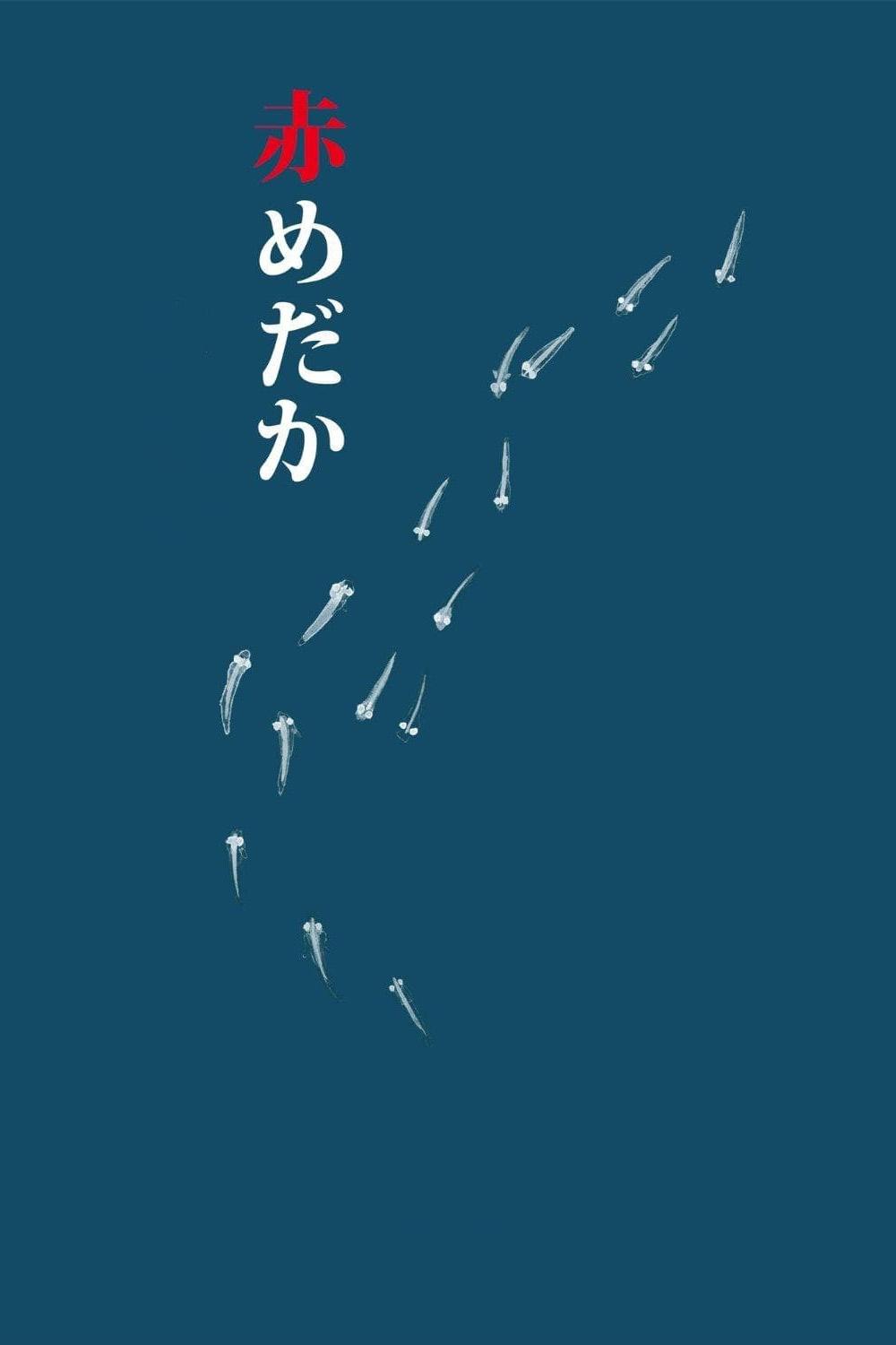 Anime Artwork