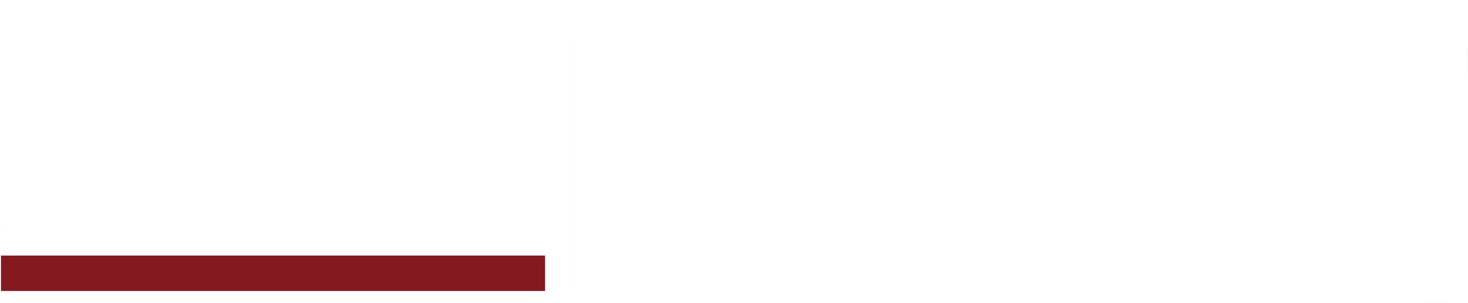 Anime Artwork