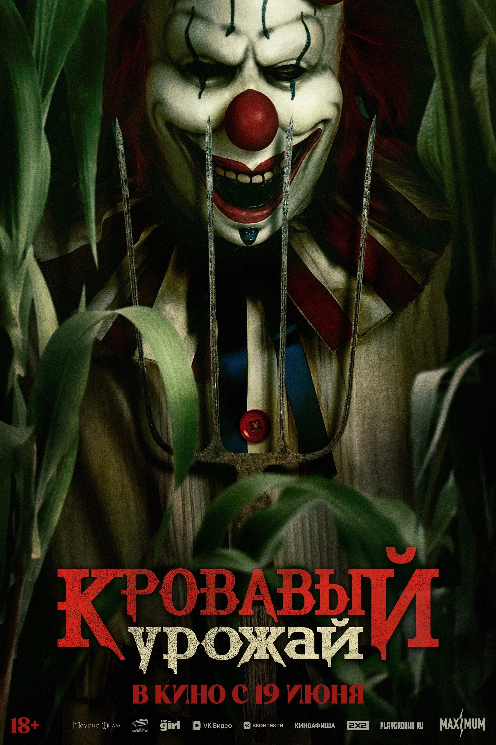 Anime Artwork