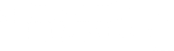 Anime Artwork