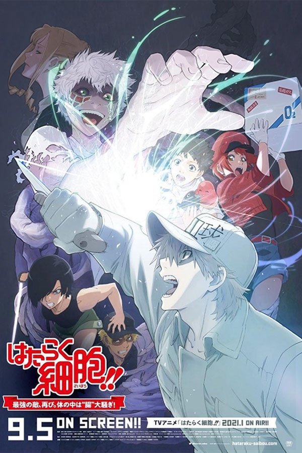 Anime Artwork