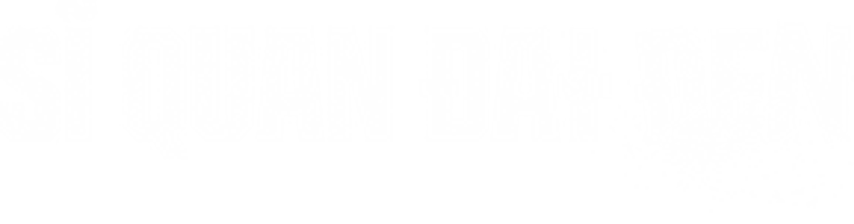 Anime Artwork
