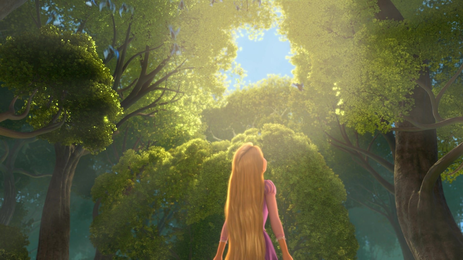 Anime Artwork