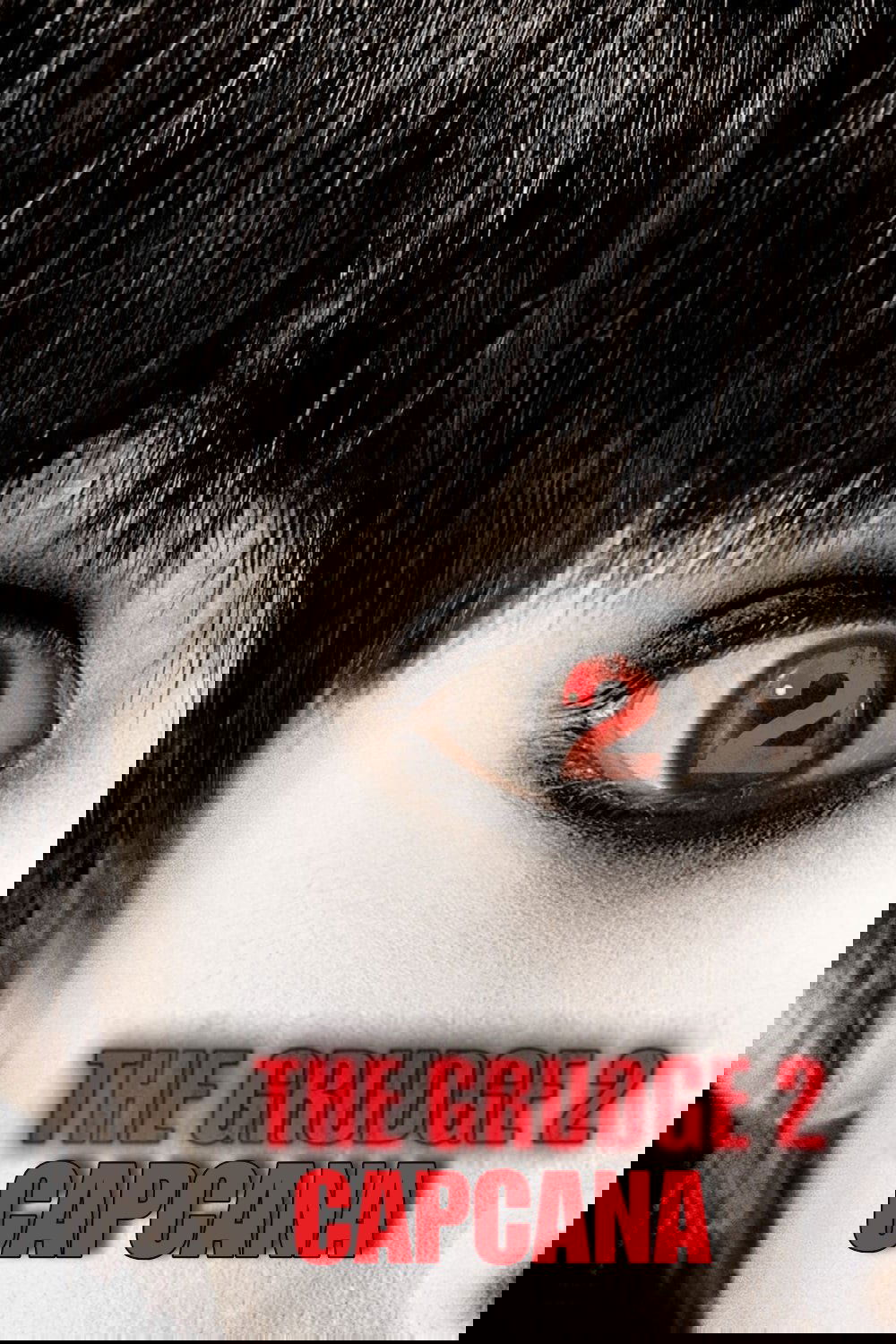 Anime Artwork