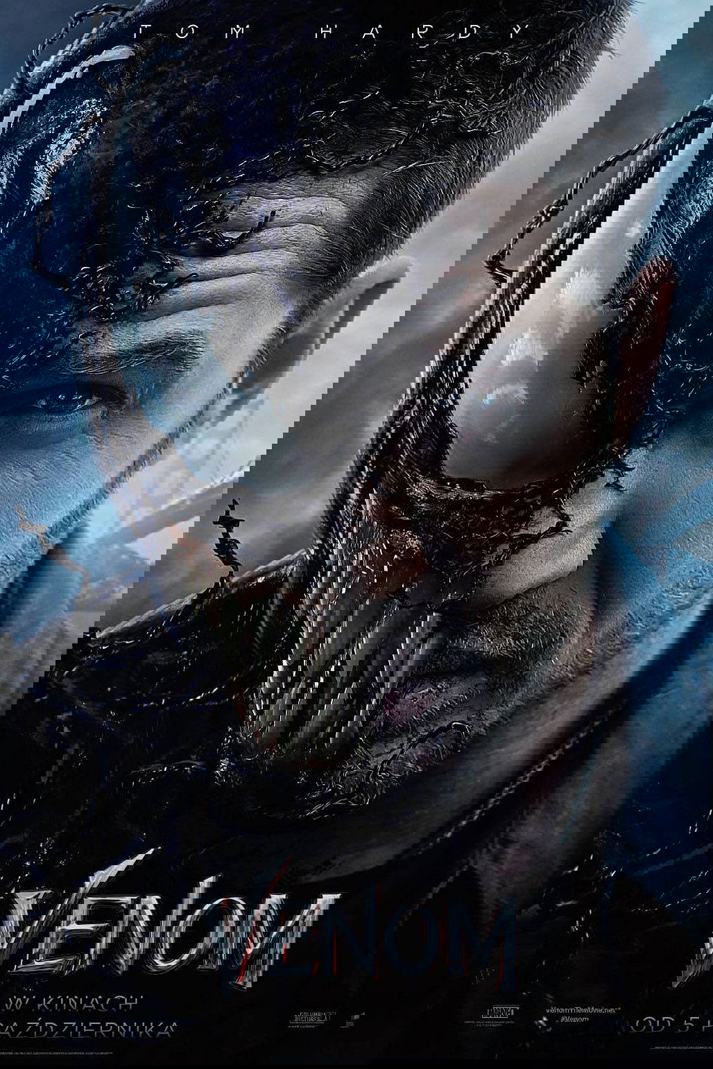 Anime Artwork