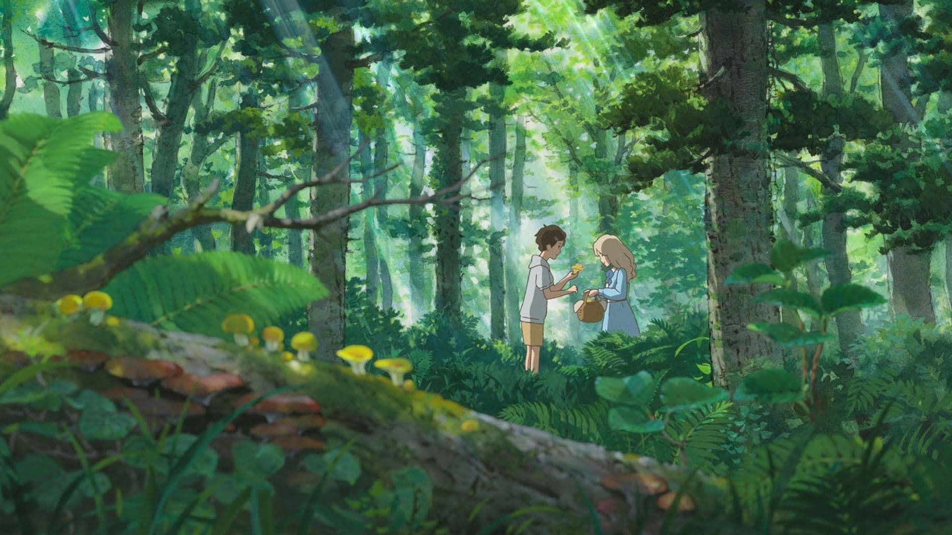 Anime Artwork