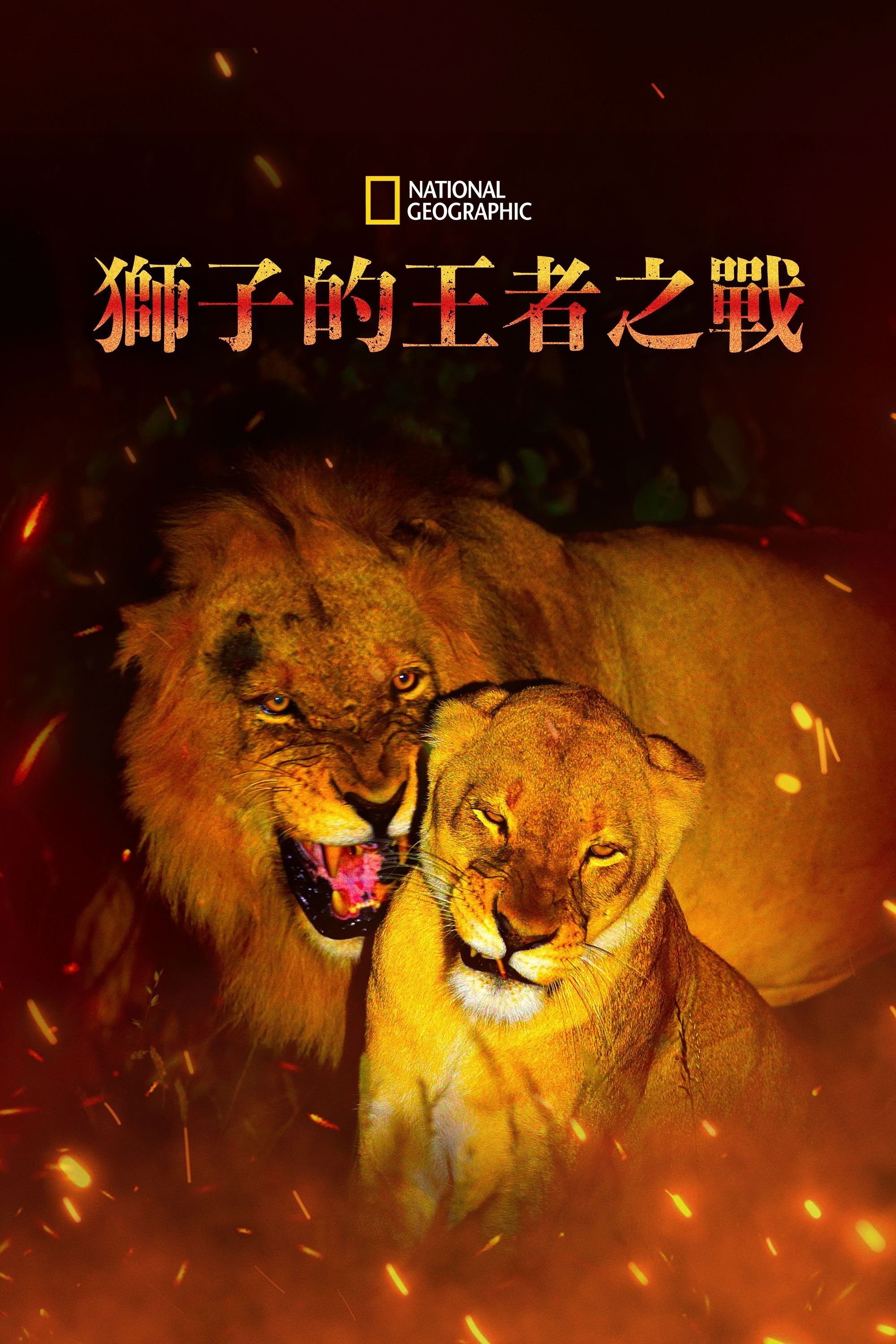 Anime Artwork