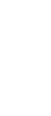 Anime Artwork