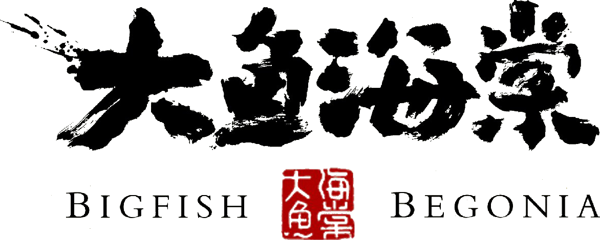 Anime Artwork