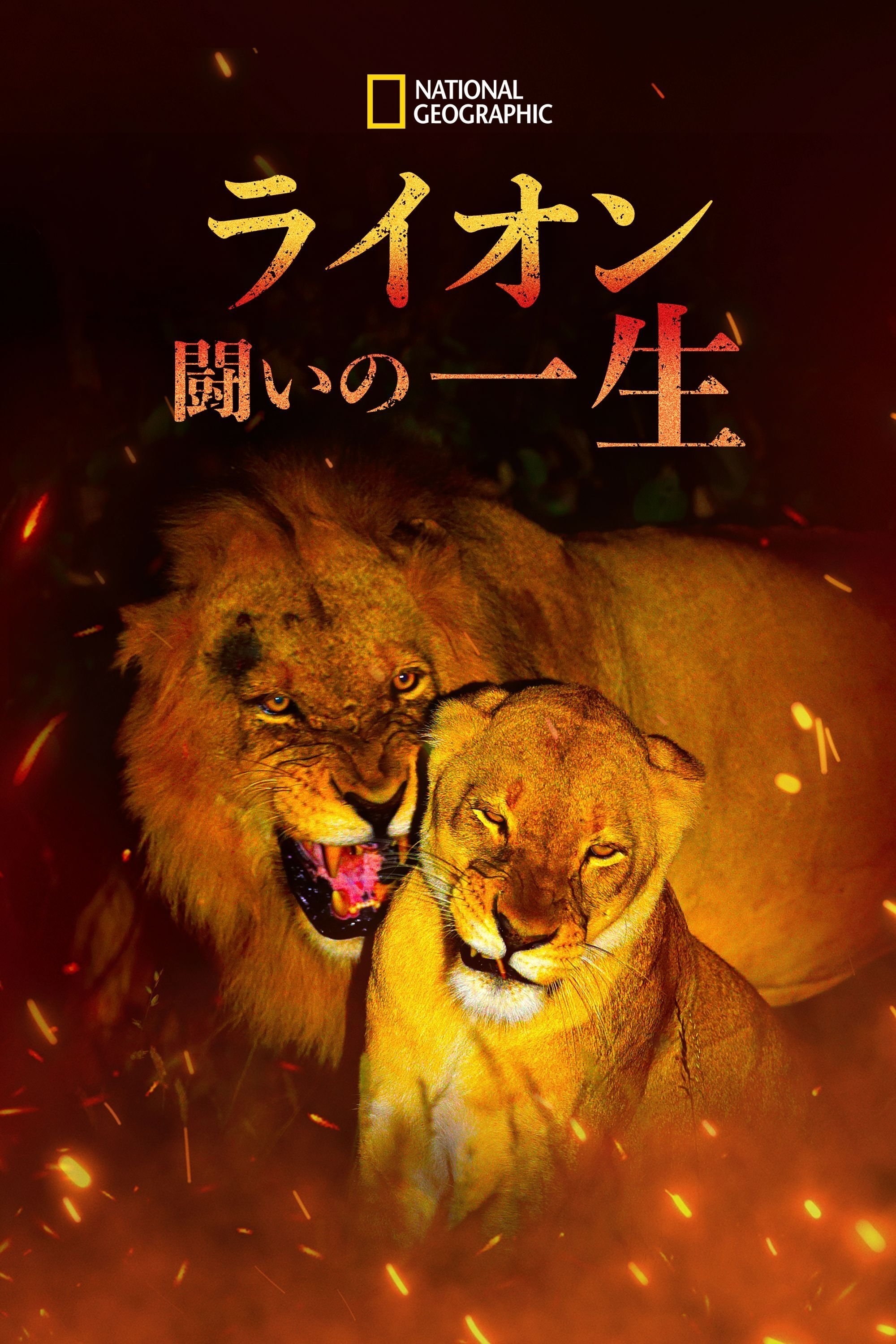 Anime Artwork