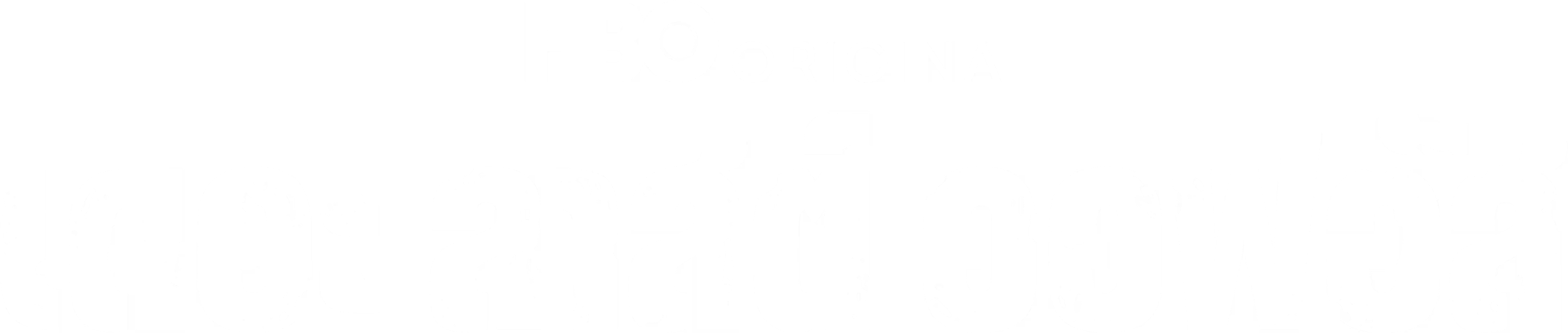 Anime Artwork