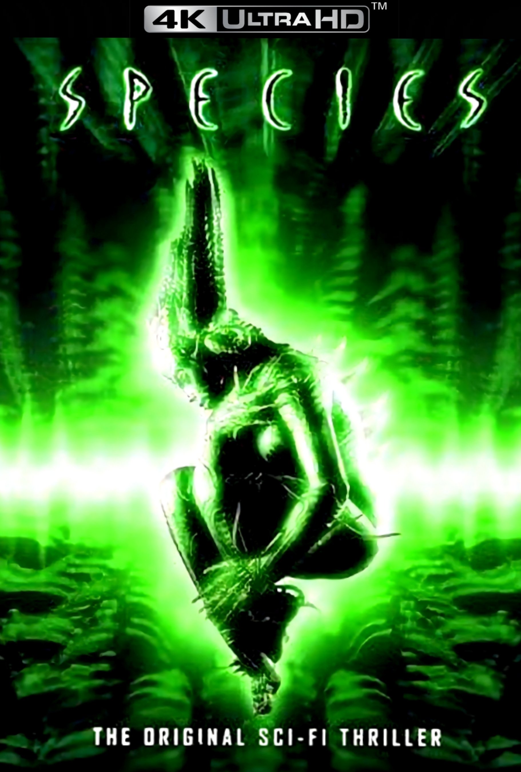 Anime Artwork