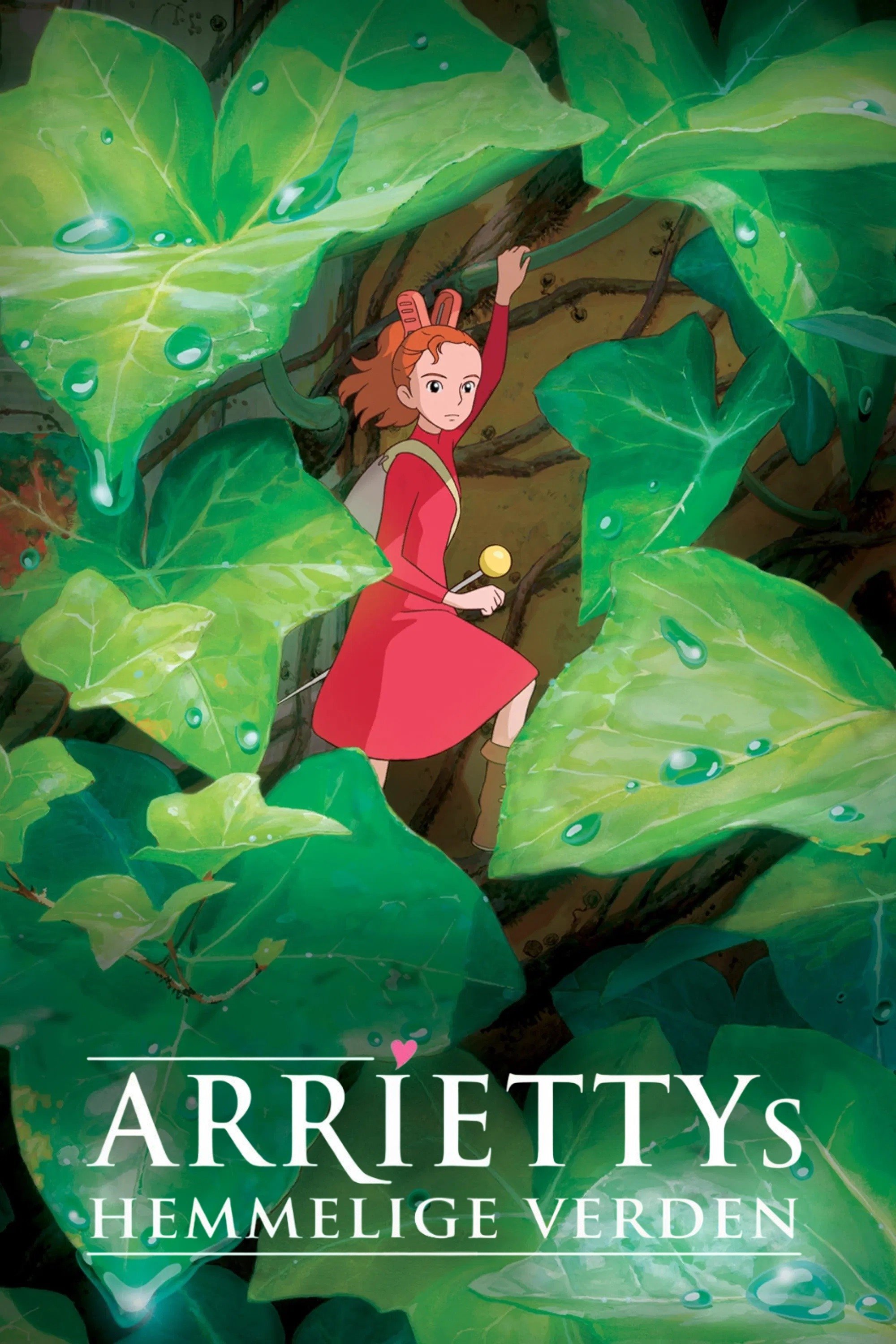 Anime Artwork