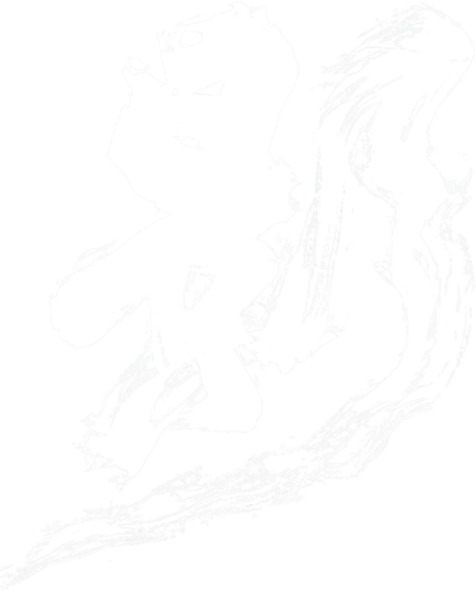 Anime Artwork
