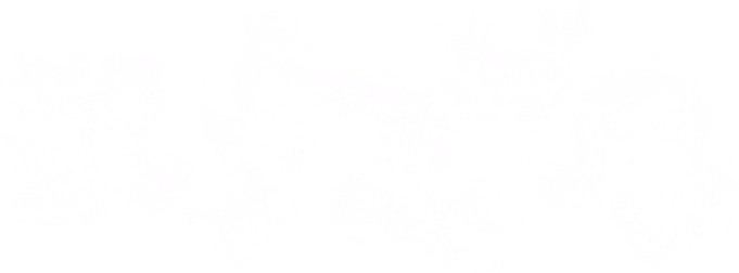 Anime Artwork
