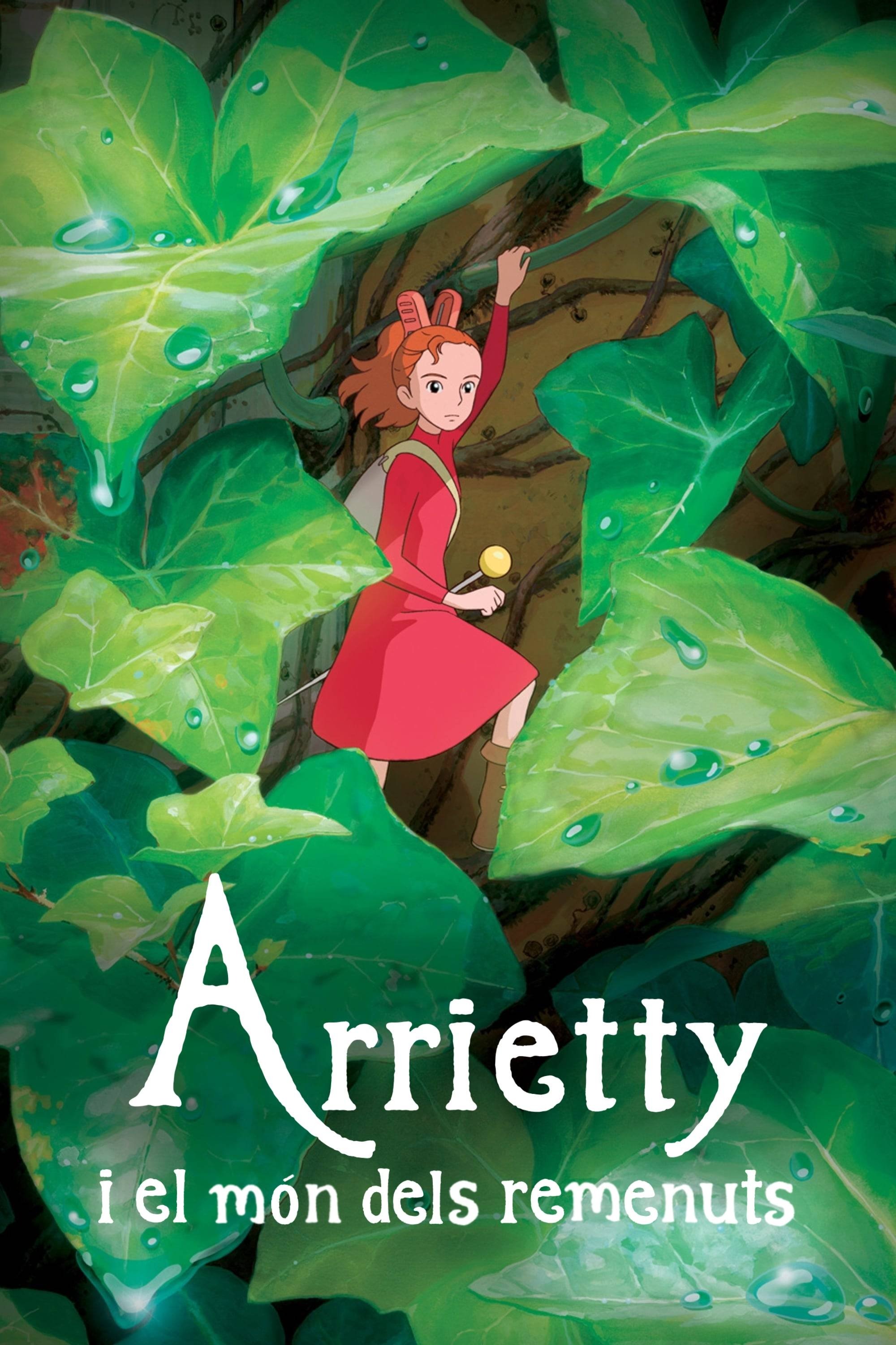 Anime Artwork