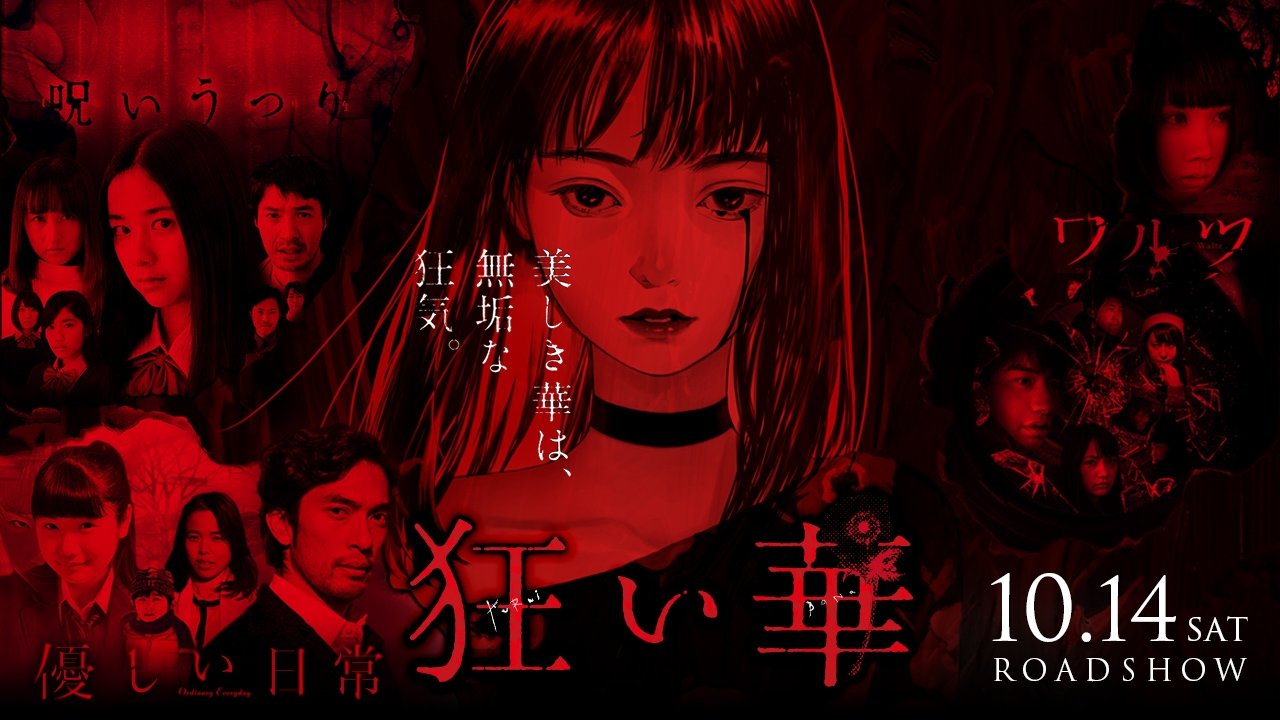 Anime Artwork