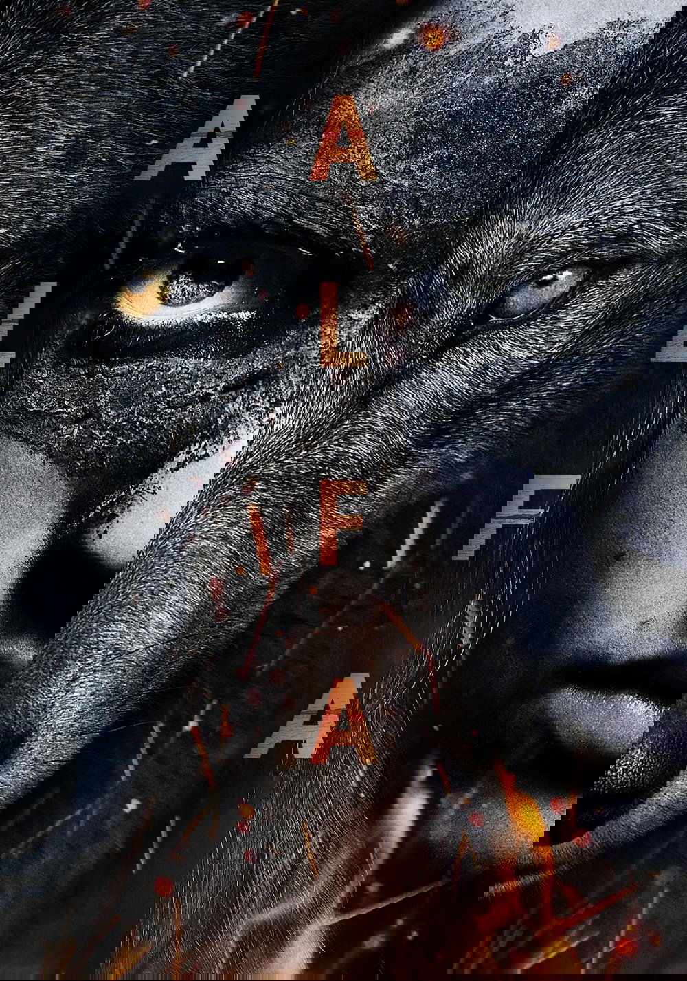 Anime Artwork